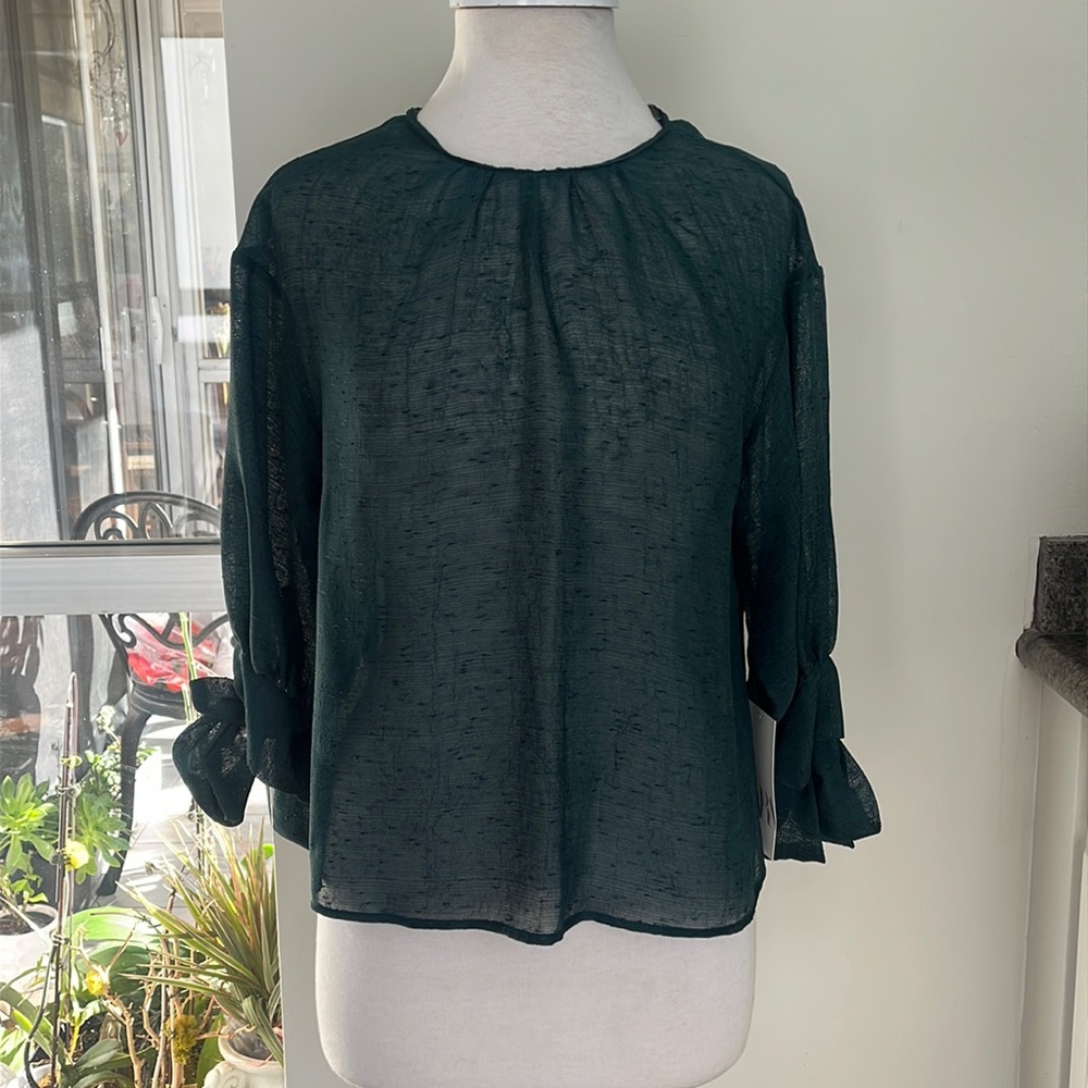 Zara Blouse